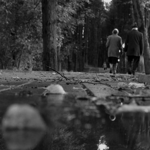 Photo #3962801
