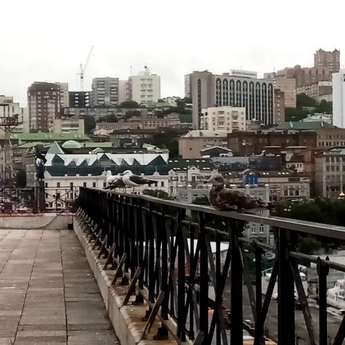Photo #3962875