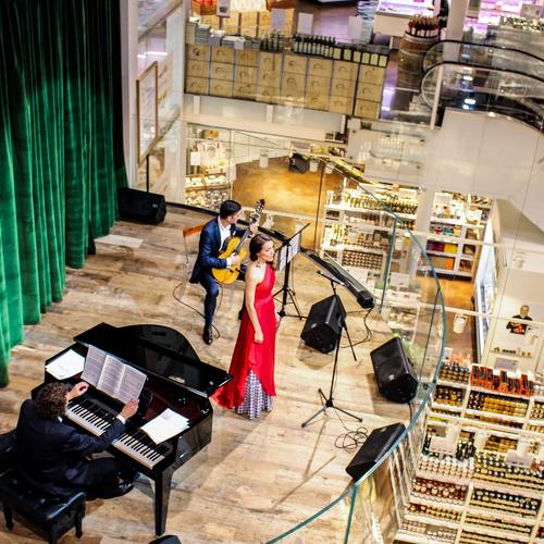 Perfomance in the mall