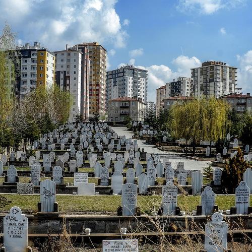 Фотография #3963147