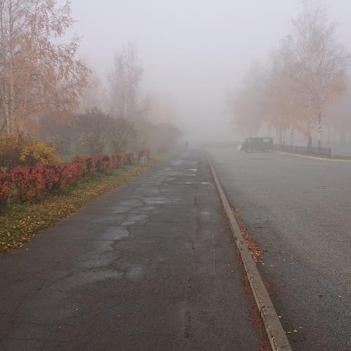 Photo #3963354
