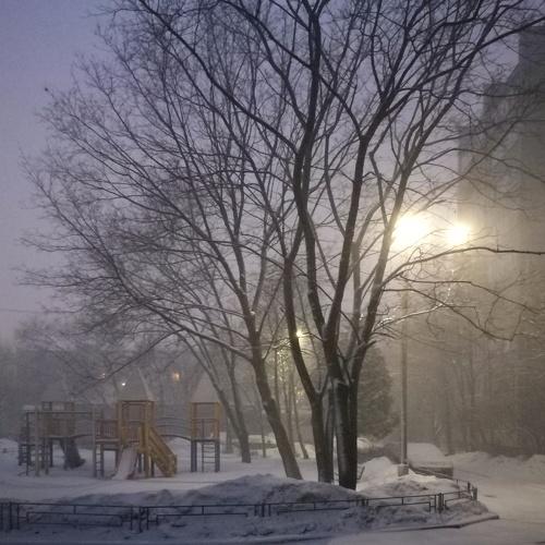 Photo #3963675
