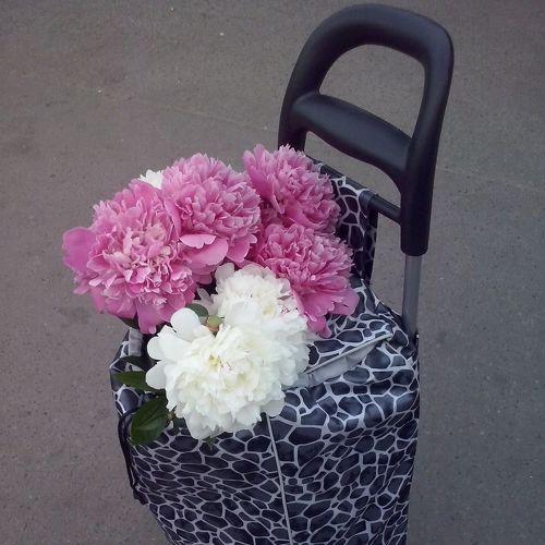 Дорожная зарисовка