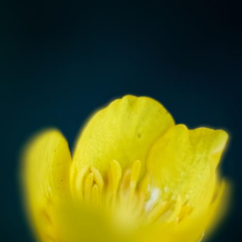 Photo #3964025