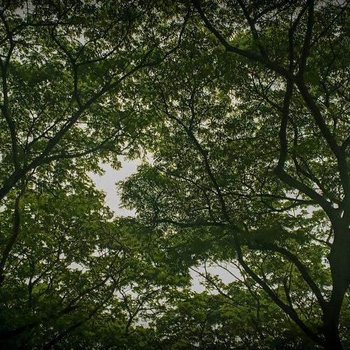 Photo #3964205