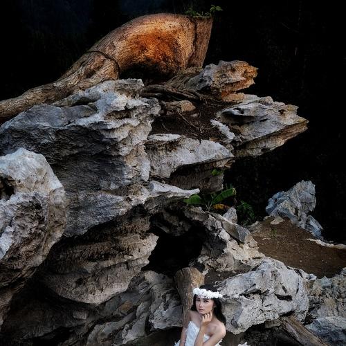 Photo #3964345
