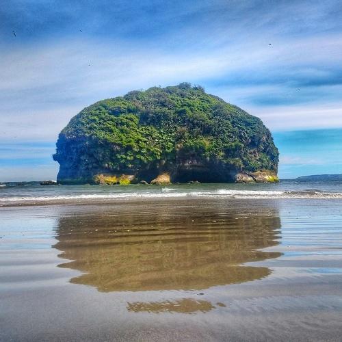 Photo #3964576