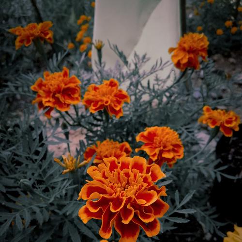 Photo #3965840