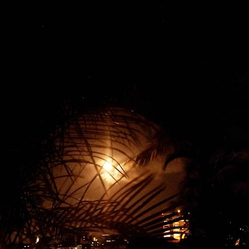 Photo #3966357