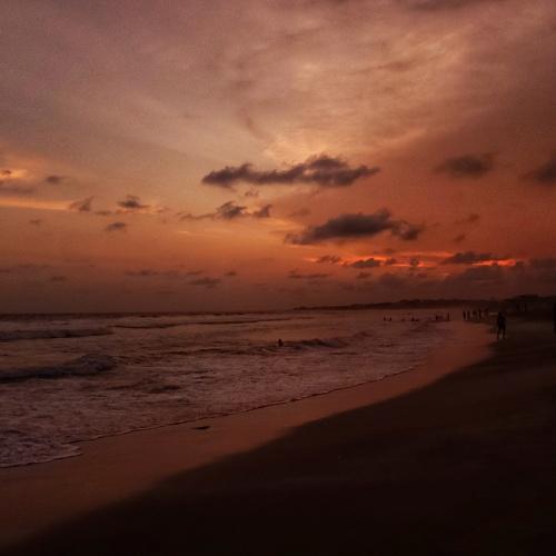 Photo #3966373