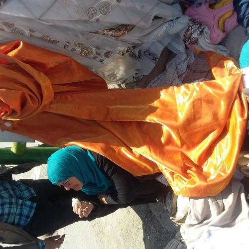 Photo #3967011