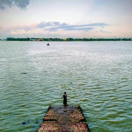 Photo #3967466