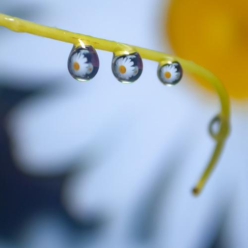 Photo #3967576