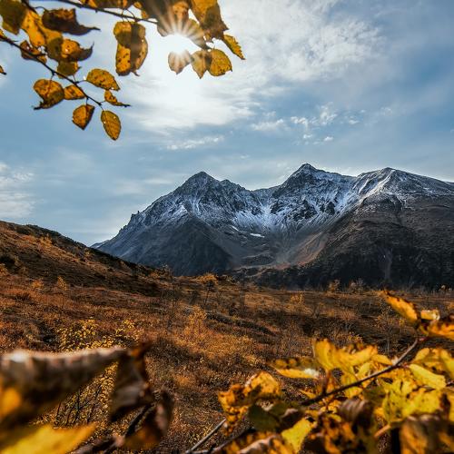 Photo #3967963