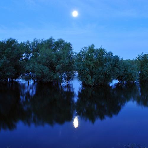 Photo #3968177