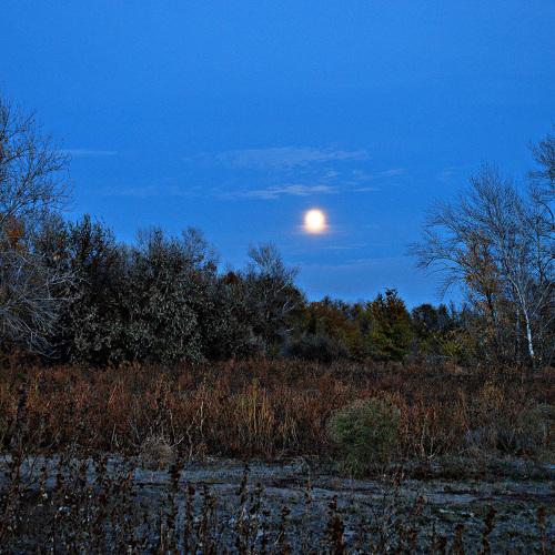 Photo #3968192