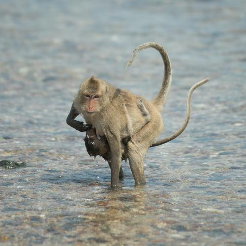 Photo #3969500