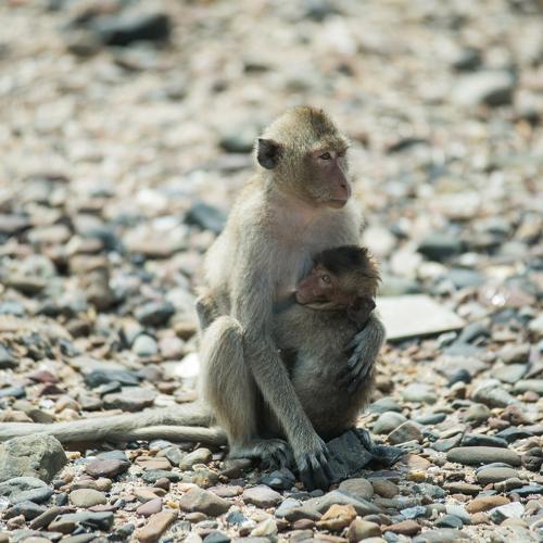 Photo #3969504