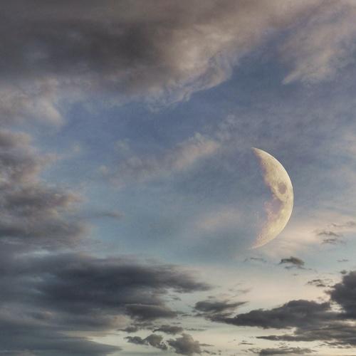 Photo #3969715