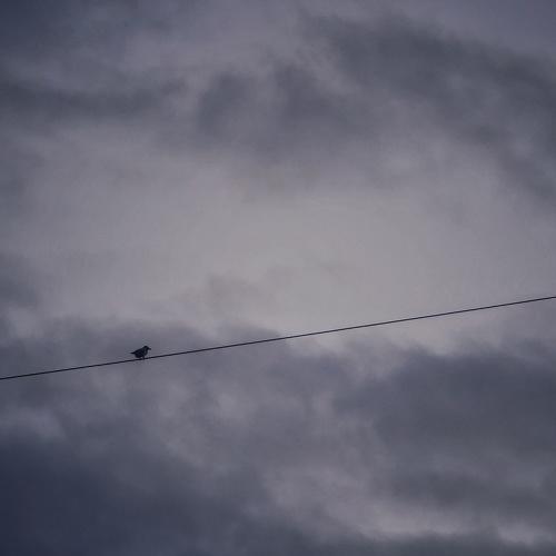 Photo #3969721