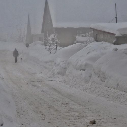 Photo #3969751