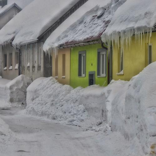 Photo #3969764