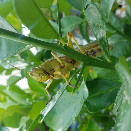 Photo #3969858