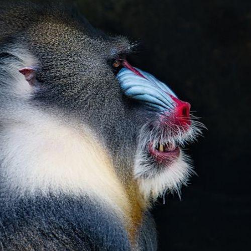 Photo #3970226