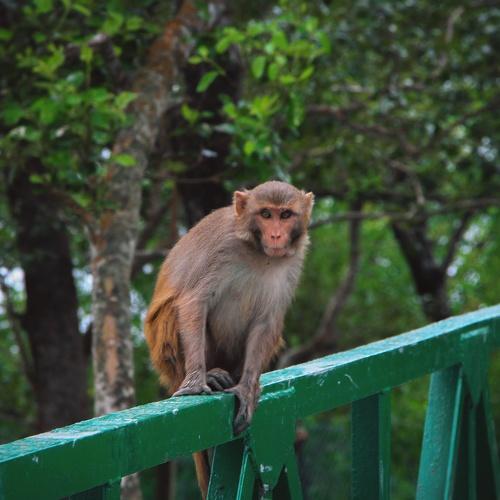 Photo #3970329
