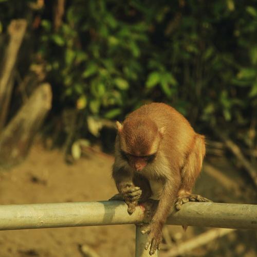Photo #3970330