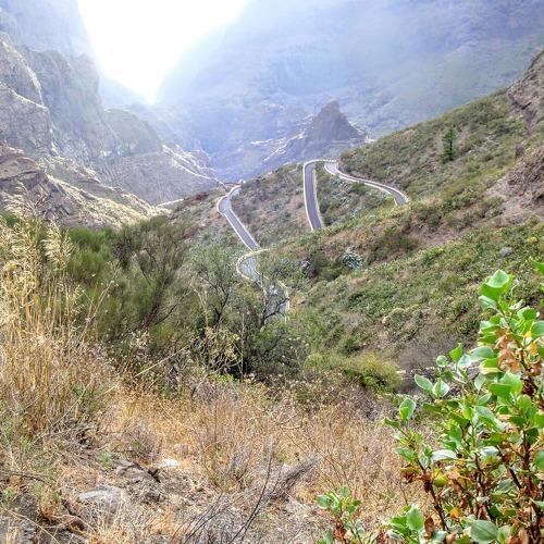 Photo #3970856