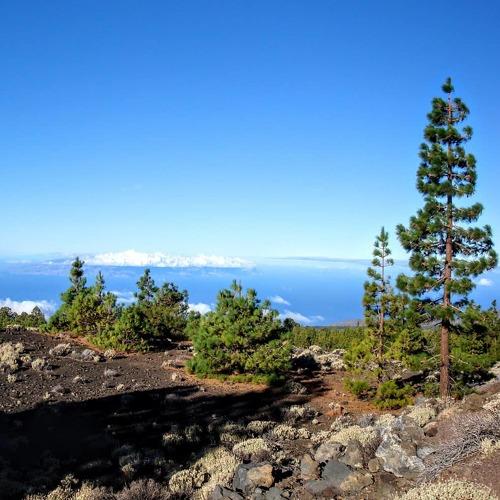 Photo #3970869
