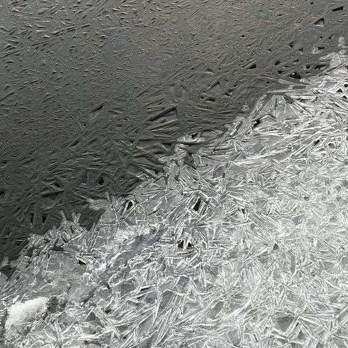 Photo #3971306