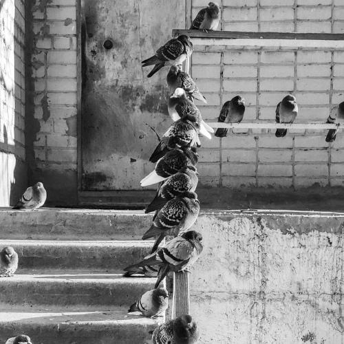 Photo #3972285
