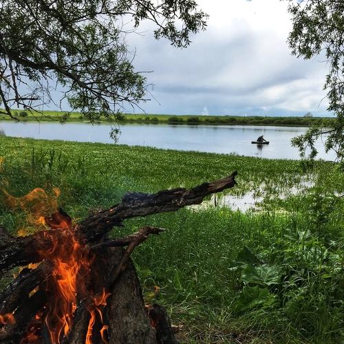 Photo #3972463