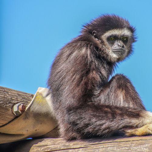 Photo #3972729
