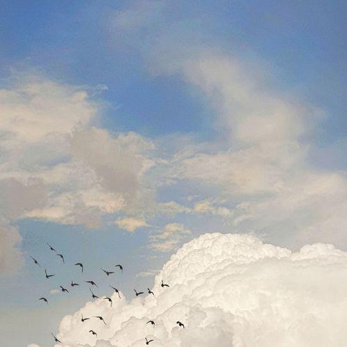 Photo #3972917