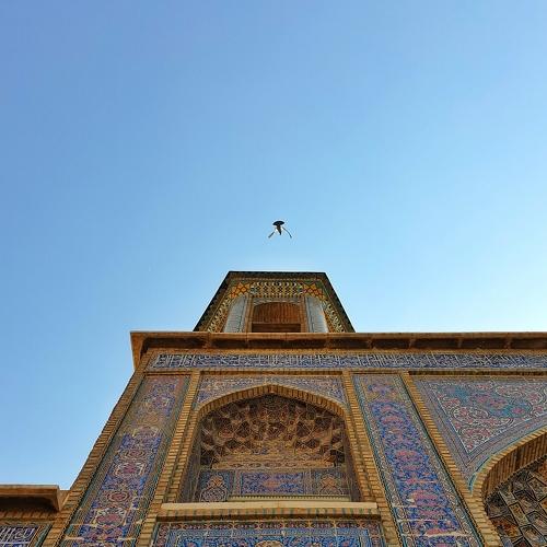 Photo #3972932
