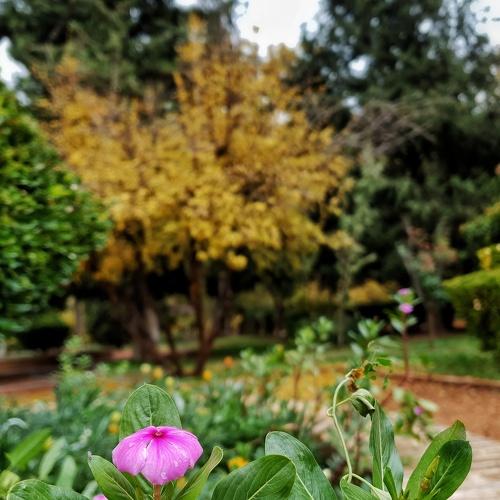 Photo #3972934