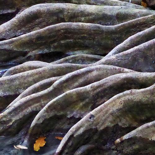 Photo #3973745