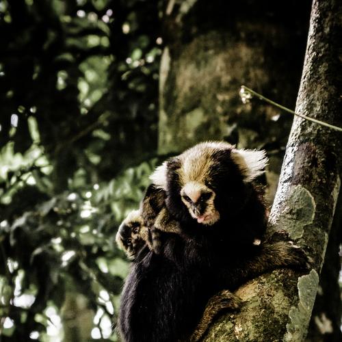 Photo #3973844