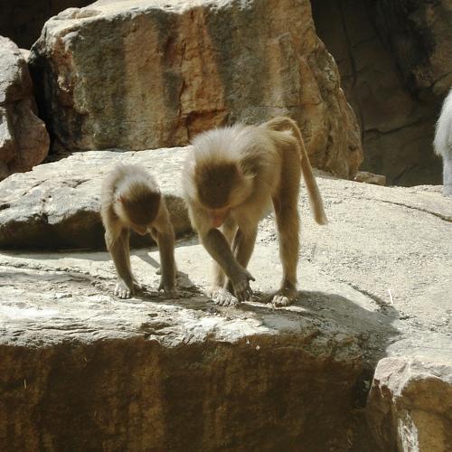 Photo #3973931