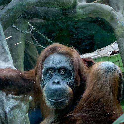 Photo #3974644