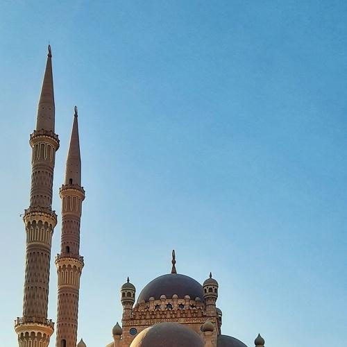 Photo #3975868
