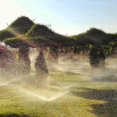 Photo #3975879