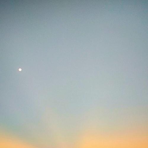 Photo #3976294