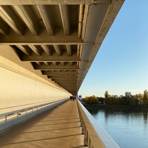 Photo #3976449