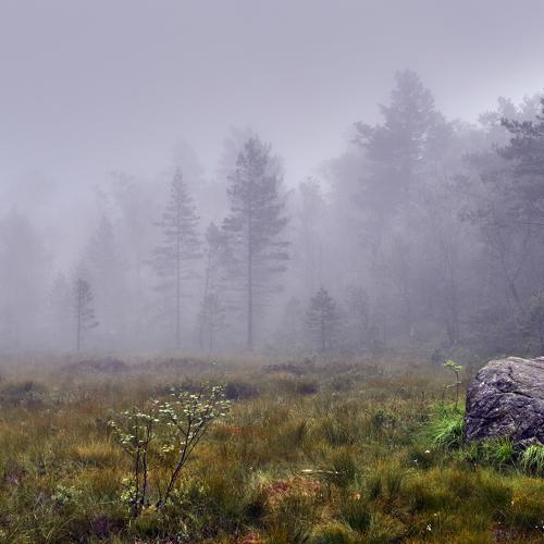 Photo #3976504