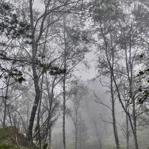 Photo #3976505