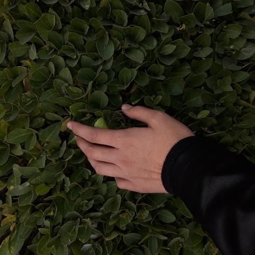 Photo #3976853